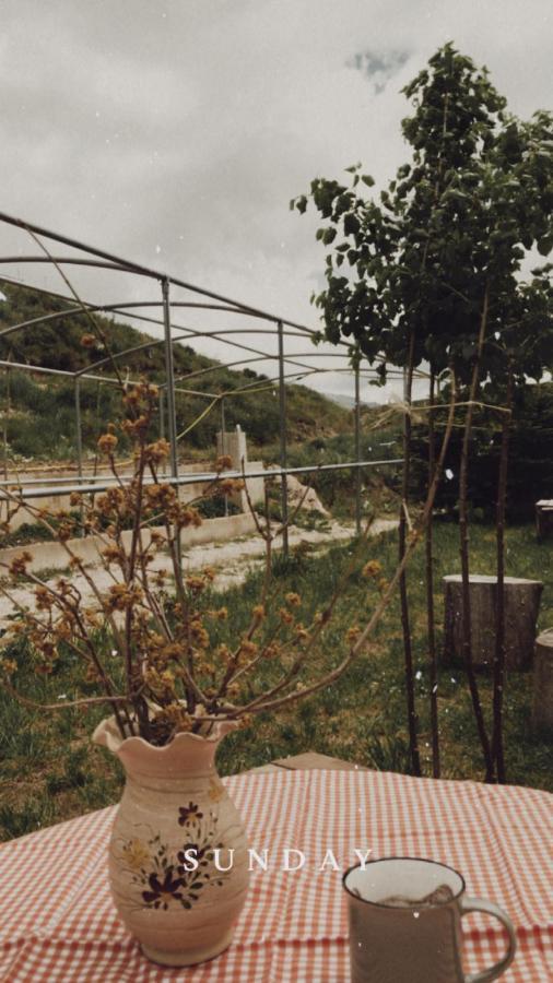 Bujtina Hader Xhebro Hostel Tepelena Kültér fotó