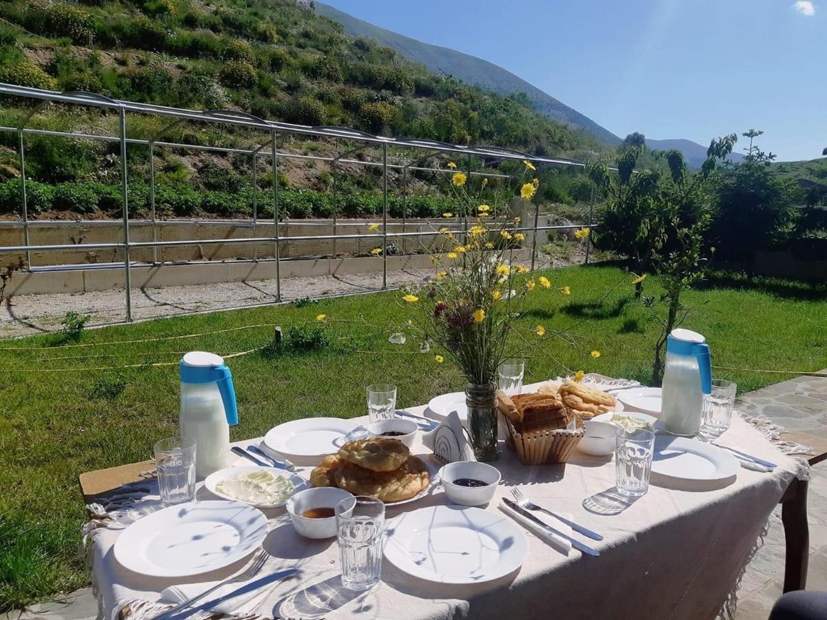 Bujtina Hader Xhebro Hostel Tepelena Kültér fotó