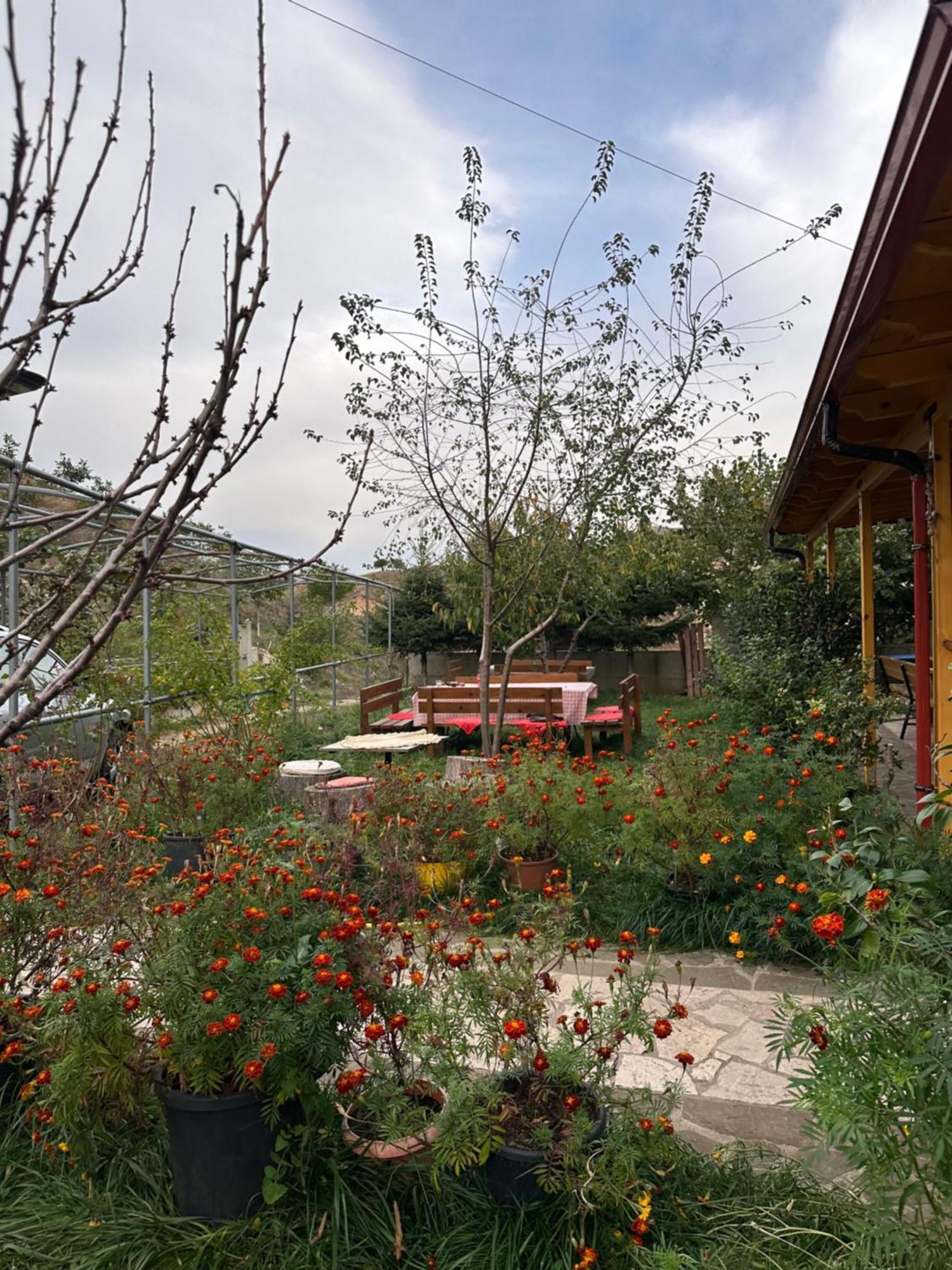 Bujtina Hader Xhebro Hostel Tepelena Kültér fotó